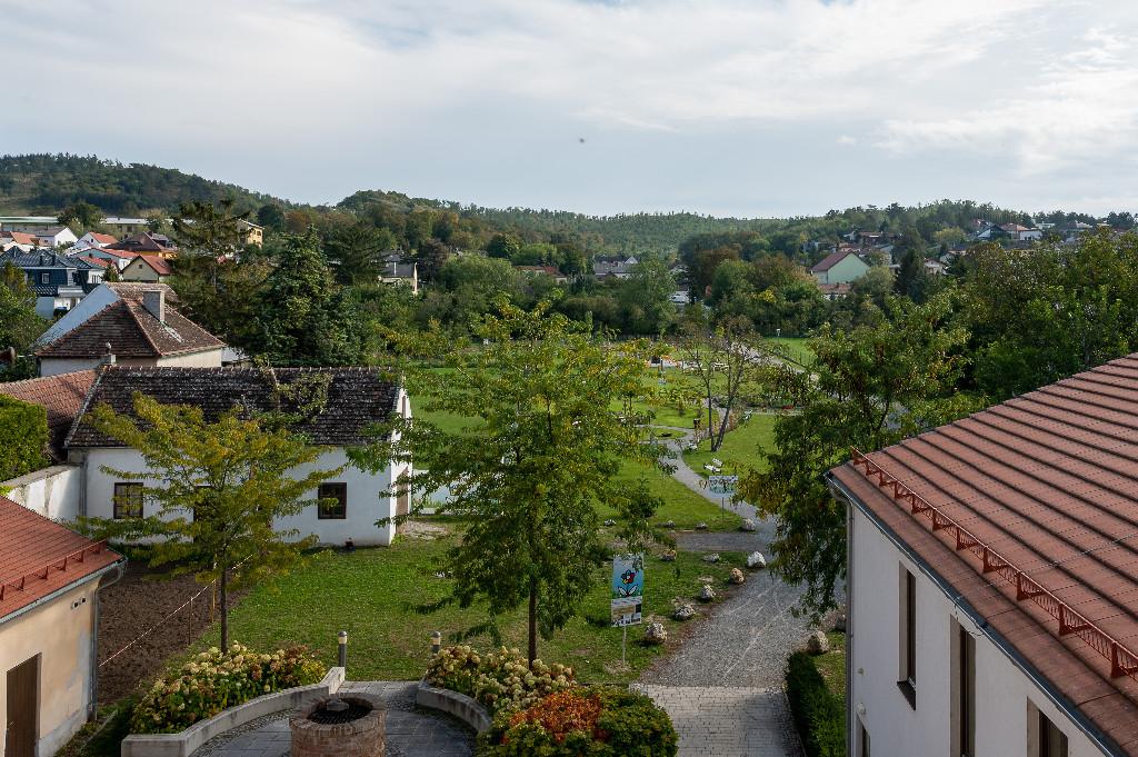 Blick aus der Bücherei Hornstein nach draußen